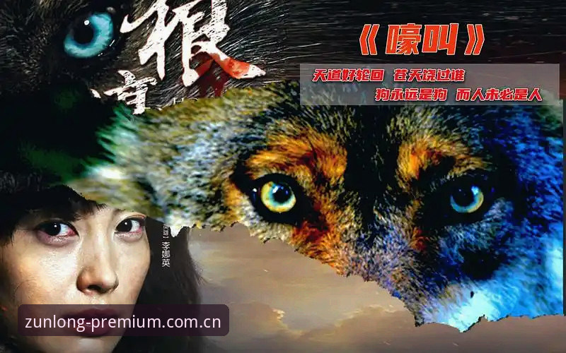 尊龙平台入口 突破游戏边界:资深用户李娜分享尊龙平台入口创新体验心得